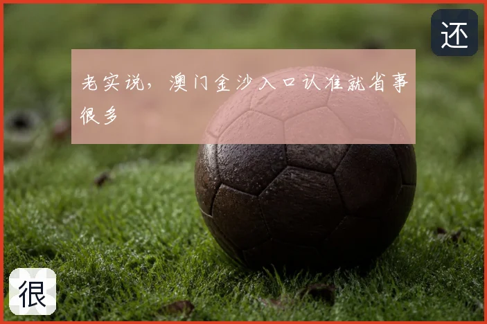 老实说,澳门金沙入口认准就省事很多