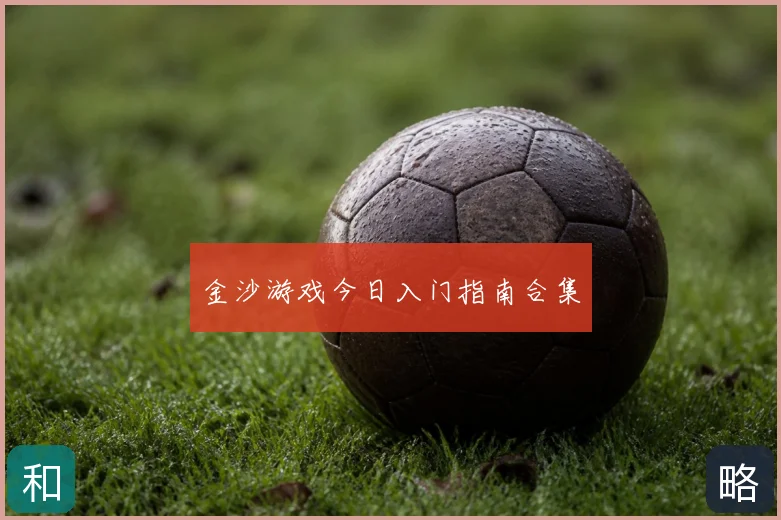 金沙游戏今日入门指南合集